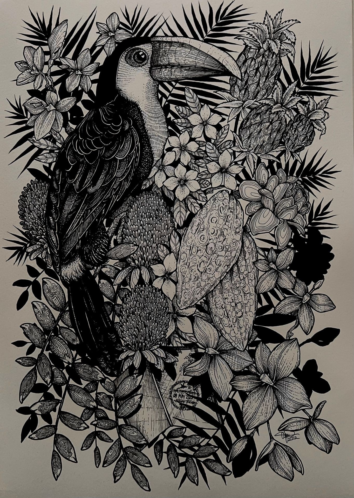 Illustration drawing commission of toucan bird with tropical botanicals 
